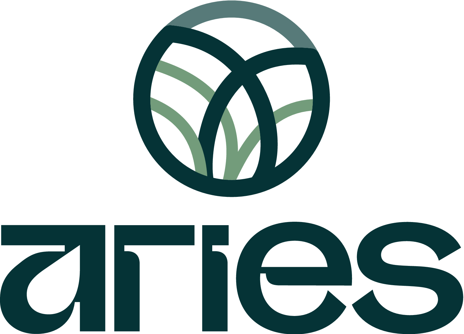 The official green circular logo and wordmark for the BASF Aries digital paint system, used by Sandown Coachworks for eco-friendly, computerized color matching in car body repairs.
